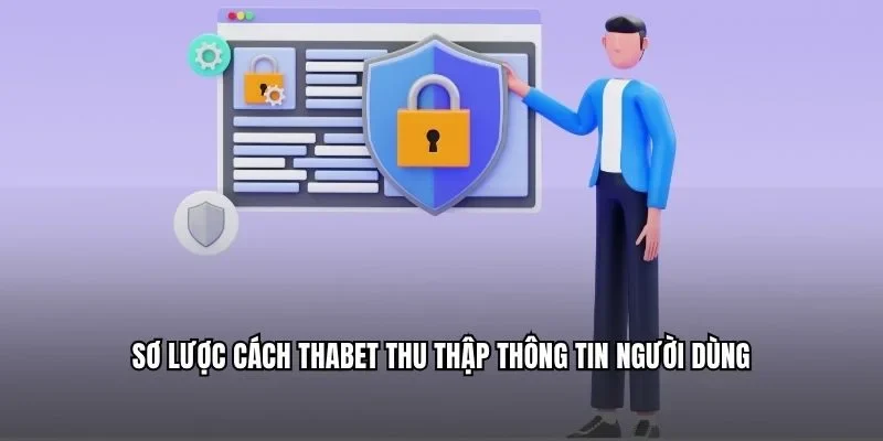 Sơ lược cách Thabet thu thập thông tin người dùng
