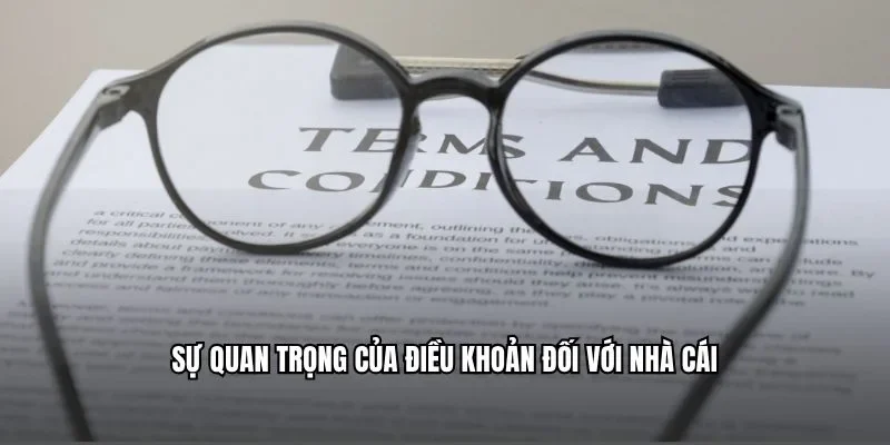 Sự quan trọng của điều khoản đối với nhà cái