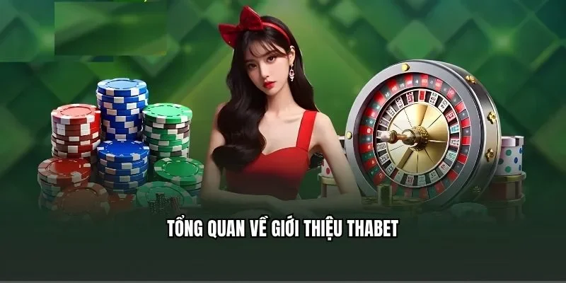 Tổng quan về giới thiệu Thabet