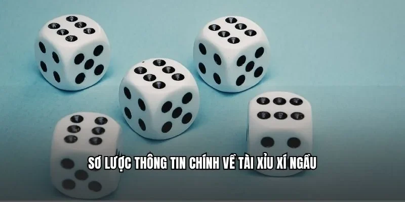 Sơ lược thông tin chính về tài xỉu xí ngầu
