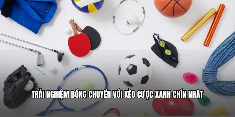 Trải nghiệm bóng chuyền với kèo cược xanh chín nhất