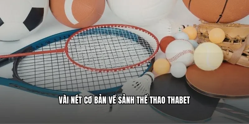 Vài nét cơ bản về sảnh thể thao Thabet